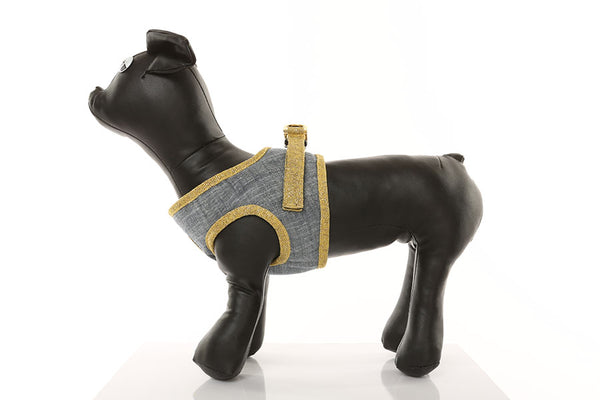 Glitz n Gold Rockstud Dog Collar