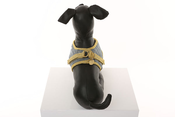 Glitz n Gold Rockstud Dog Collar